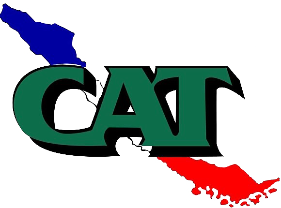 Central Autónoma de Trabajadores y Trabajadoras de Chile
